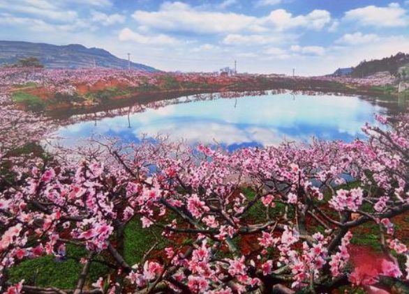 市政護(hù)欄廠家聯(lián)系方式 市政護(hù)欄廠家聯(lián)系方式